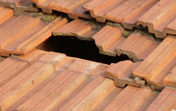 roof repair Stokeinteignhead, Devon